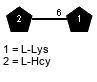 xLHcy(1-6)xLLys