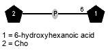 xXCho(1-P-6)Subst // Subst = 6-hydroxyhexanoic acid = SMILES C(CCC(=O)O)C{6}CO