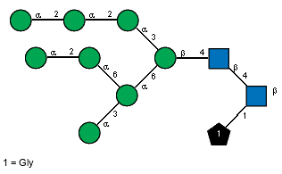 xXGly(1-1)[aDManp(1-2)aDManp(1-2)aDManp(1-3)[aDManp(1-3)[aDManp(1-2)aDManp(1-6)]aDManp(1-6)]bDManp(1-4)[Ac(1-2)]bDGlcpN(1-4),Ac(1-2)]bDGlcpN