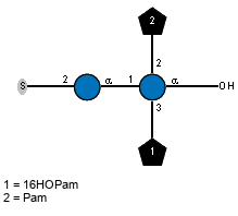 Compound 36937