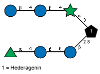 Compound 31258