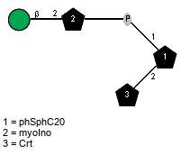 Compound 19657