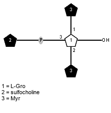 Compound 37228