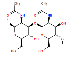 *O[C@@H]1[C@@H](CO)O[C@@H](O[C@H]2[C@H](O)[C@@H](CO)O[C@@H](*)[C@H]2NC(C)=O)[C@@H](NC(C)=O)[C@H]1O