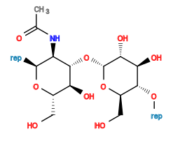 *O[C@@H]1[C@@H](CO)O[C@H](O[C@@H]2[C@@H](O)[C@H](CO)O[C@@H](*)[C@H]2NC(C)=O)[C@H](O)[C@H]1O