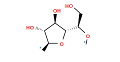 *O[C@H](CO)[C@@H]1O[C@@H](*)[C@H](O)[C@H]1O