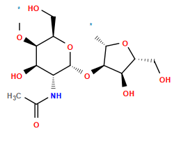 *O[C@H]1[C@@H](CO)O[C@H](O[C@H]2[C@H](*)O[C@H](CO)[C@H]2O)[C@H](NC(C)=O)[C@H]1O