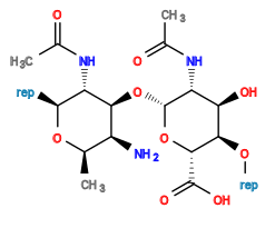 *O[C@H]1[C@H](C(=O)O)O[C@H](O[C@@H]2[C@@H](NC(C)=O)[C@H](*)O[C@H](C)[C@@H]2N)[C@H](NC(C)=O)[C@H]1O