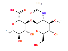 *O[C@H]1[C@H](O)[C@@H](CO)O[C@@H](O[C@H]2[C@H](O)[C@@H](O)[C@H](*)O[C@@H]2C(=O)O)[C@@H]1NC(C)=O