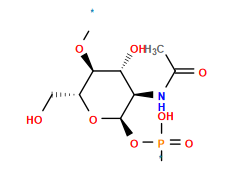 *O[C@H]1[C@H](O)[C@@H](NC(C)=O)[C@@H](OP(*)(=O)O)O[C@@H]1CO