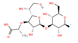 *OC[C@@H](O)[C@@H]1O[C@@H](O[C@@H]2[C@@H](O)[C@H](*)O[C@H](CO)[C@H]2O)[C@H](O)[C@H]1O[C@H](C)C(=O)O