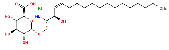 [1*]N[C@@H](CO[C@H]1O[C@H](C(=O)O)[C@@H](O)[C@H](O)[C@H]1O)[C@H](O)/C=C/CCCCCCCCCCCCC
