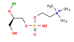 [1*]O[C@H](CO)COP(=O)(O)OCC[N+](C)(C)C