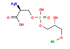 [1*]OC[C@@H](O)COP(=O)(O)OC[C@H](N)C(=O)O