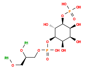 [1*]OC[C@H](COP(=O)(O)O[C@H]1[C@H](O)[C@@H](OP(=O)(O)O)[C@@H](O)[C@@H](O)[C@H]1O)O[1*]