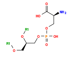 [1*]OC[C@H](COP(=O)(O)OC[C@H](N)C(=O)O)O[1*]