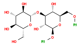 [1*]OC[C@H]1O[C@@H](O[1*])[C@H](O)[C@@H](O[C@@H]2O[C@H](CO)[C@@H](O)[C@H](O)[C@H]2O)[C@@H]1O