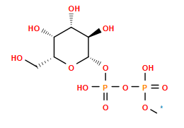 [1*]OP(=O)(O)OP(=O)(O)O[C@@H]1O[C@H](CO)[C@H](O)[C@H](O)[C@H]1O