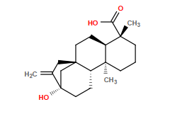 C=C1C[C@@]23CC[C@@H]4[C@@](C)(CCC[C@@]4(C)C(=O)O)[C@@H]2CC[C@]1(O)C3