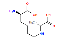C[C@@H](NCCCC[C@@H](N)C(=O)O)C(=O)O