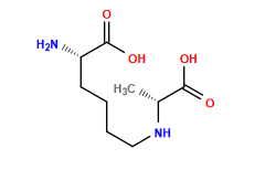 C[C@@H](NCCCC[C@H](N)C(=O)O)C(=O)O