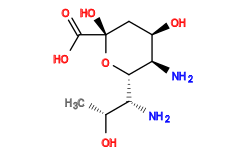 C[C@@H](O)[C@@H](N)[C@@H]1O[C@](O)(C(=O)O)C[C@@H](O)[C@H]1N