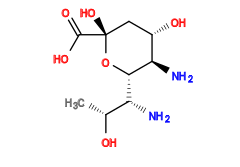 C[C@@H](O)[C@@H](N)[C@@H]1O[C@](O)(C(=O)O)C[C@H](O)[C@H]1N