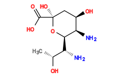 C[C@@H](O)[C@@H](N)[C@H]1O[C@@](O)(C(=O)O)C[C@@H](O)[C@H]1N