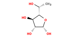 C[C@@H](O)[C@@H]1O[C@H](O)[C@H](O)[C@H]1O