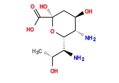C[C@@H](O)[C@H](N)[C@@H]1O[C@@](O)(C(=O)O)C[C@@H](O)[C@@H]1N