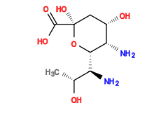 C[C@@H](O)[C@H](N)[C@@H]1O[C@@](O)(C(=O)O)C[C@H](O)[C@@H]1N
