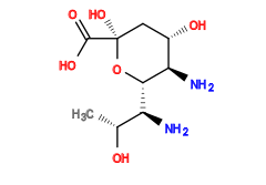 C[C@@H](O)[C@H](N)[C@@H]1O[C@@](O)(C(=O)O)C[C@H](O)[C@H]1N