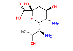 C[C@@H](O)[C@H](N)[C@@H]1O[C@](O)(C(=O)O)C[C@@H](O)[C@@H]1N