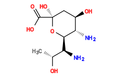 C[C@@H](O)[C@H](N)[C@H]1O[C@@](O)(C(=O)O)C[C@@H](O)[C@@H]1N
