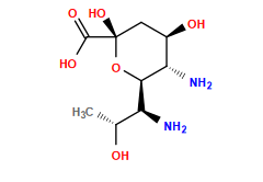 C[C@@H](O)[C@H](N)[C@H]1O[C@](O)(C(=O)O)C[C@@H](O)[C@@H]1N