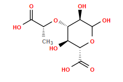 C[C@@H](O[C@H]1[C@H](O)[C@@H](C(=O)O)OC(O)[C@@H]1O)C(=O)O