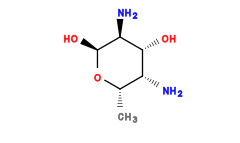 C[C@@H]1O[C@@H](O)[C@@H](N)[C@H](O)[C@@H]1N