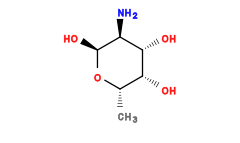 C[C@@H]1O[C@@H](O)[C@@H](N)[C@H](O)[C@@H]1O