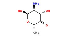 C[C@@H]1O[C@@H](O)[C@@H](N)[C@H](O)C1=O