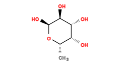 C[C@@H]1O[C@@H](O)[C@@H](O)[C@H](O)[C@@H]1O