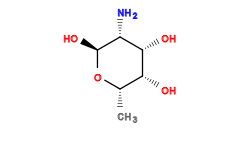 C[C@@H]1O[C@@H](O)[C@H](N)[C@H](O)[C@@H]1O