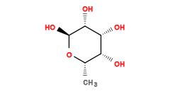 C[C@@H]1O[C@@H](O)[C@H](O)[C@H](O)[C@@H]1O