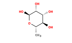 C[C@@H]1O[C@@H](O)[C@H](O)[C@H](O)[C@H]1O