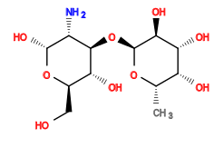 C[C@@H]1O[C@@H](O[C@H]2[C@H](O)[C@@H](CO)O[C@H](O)[C@@H]2N)[C@@H](O)[C@H](O)[C@@H]1O