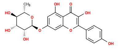 C[C@@H]1O[C@@H](Oc2cc(O)c3c(=O)c(O)c(-c4ccc(O)cc4)oc3c2)[C@H](O)[C@H](O)[C@H]1O