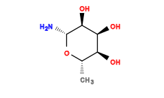 C[C@@H]1O[C@H](N)[C@@H](O)[C@@H](O)[C@H]1O