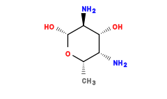 C[C@@H]1O[C@H](O)[C@@H](N)[C@H](O)[C@@H]1N