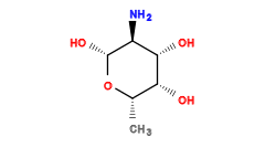 C[C@@H]1O[C@H](O)[C@@H](N)[C@H](O)[C@@H]1O