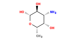 C[C@@H]1O[C@H](O)[C@@H](O)[C@H](N)[C@@H]1O
