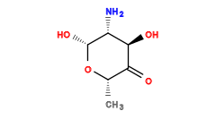 C[C@@H]1O[C@H](O)[C@H](N)[C@@H](O)C1=O